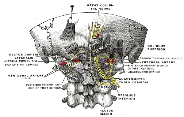 neurostimulation therapy-Gray800